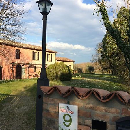 منزل الضيف فورلي  في Agriturismo Il Pettirosso المظهر الخارجي الصورة