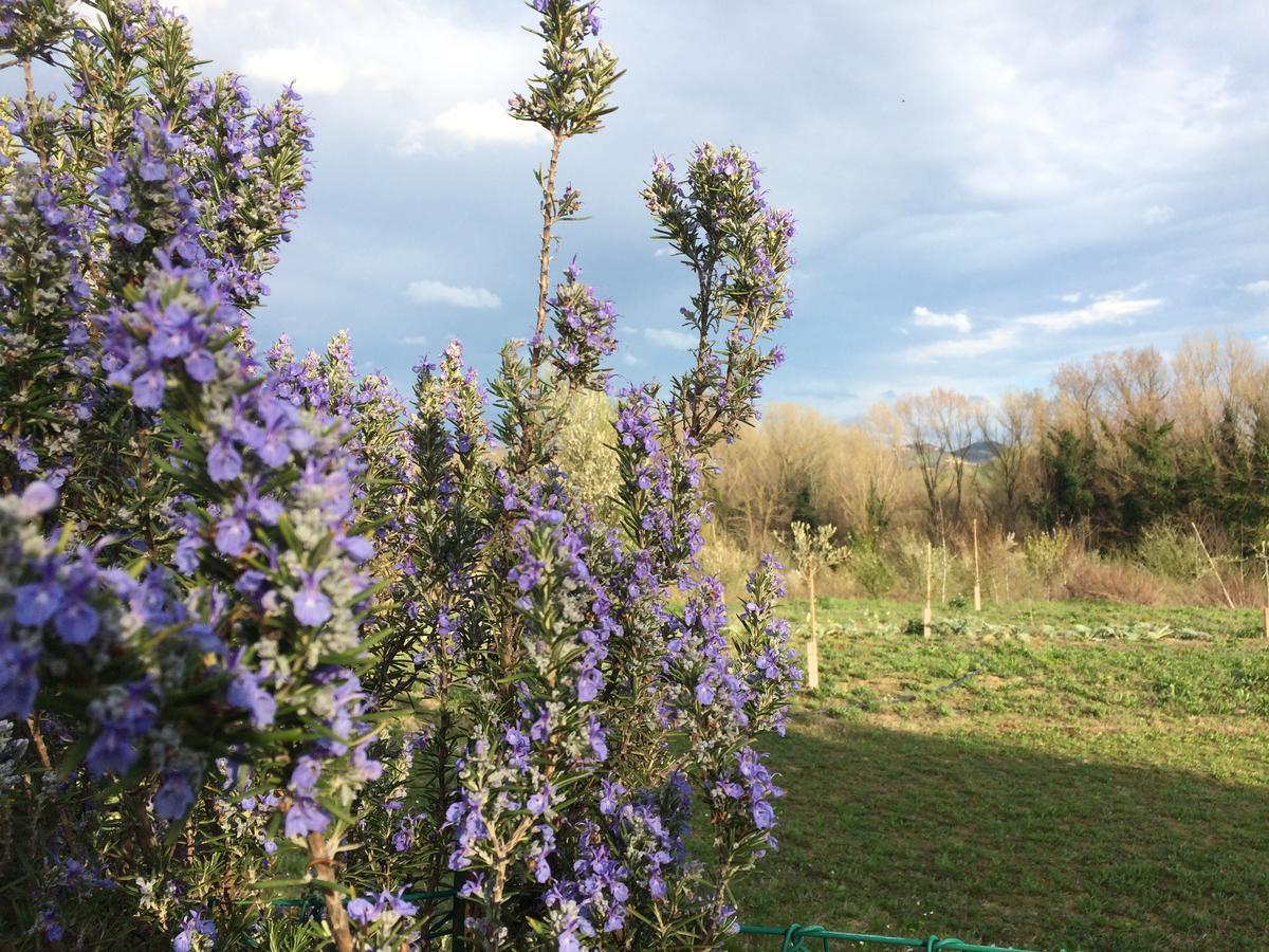 منزل الضيف فورلي  في Agriturismo Il Pettirosso المظهر الخارجي الصورة