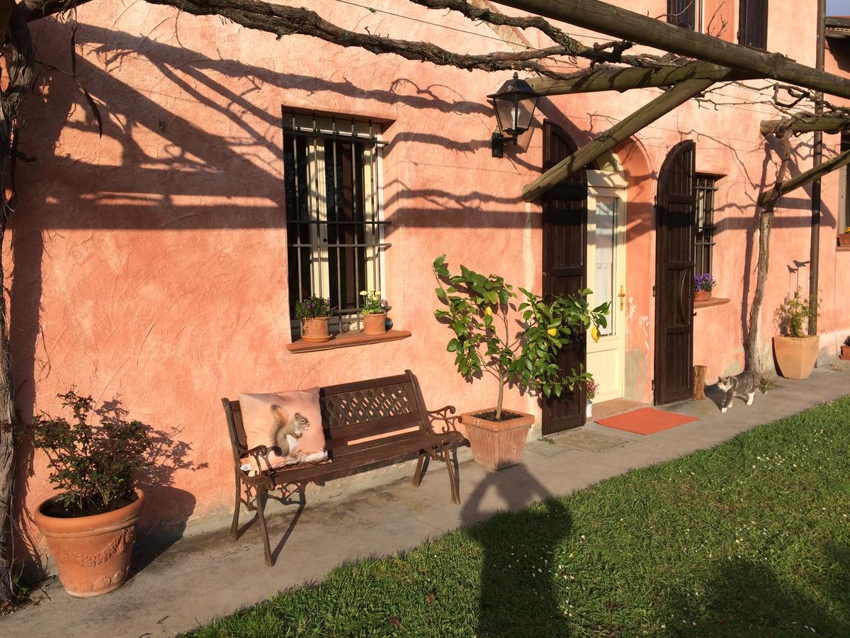 منزل الضيف فورلي  في Agriturismo Il Pettirosso المظهر الخارجي الصورة