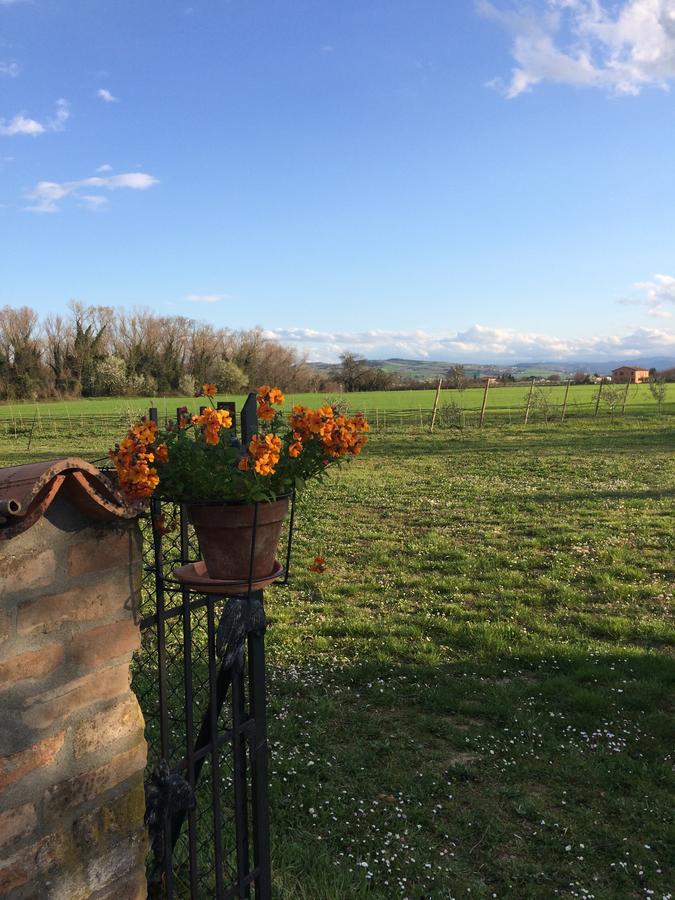 منزل الضيف فورلي  في Agriturismo Il Pettirosso المظهر الخارجي الصورة